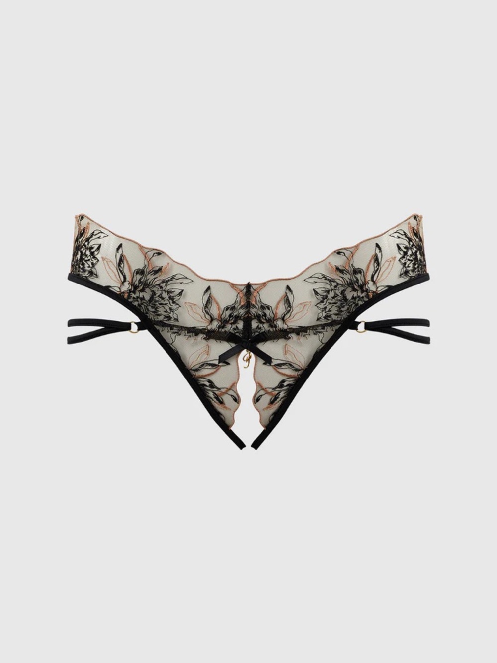 NWT Frederick’s of Hollywood Delfina Embroidered Crotchless & Backless Hipster